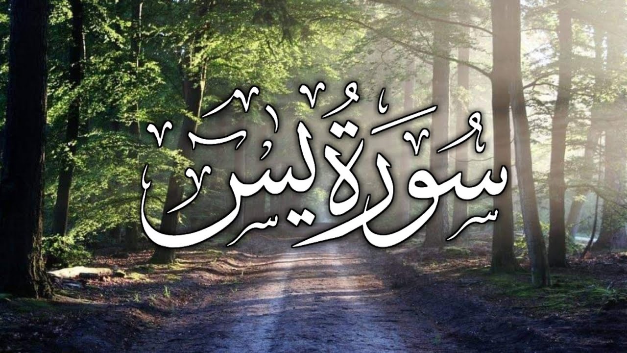 سورة يس بصوت جميل جدا يشرح القلب _ القارئ يحيى صدقي
