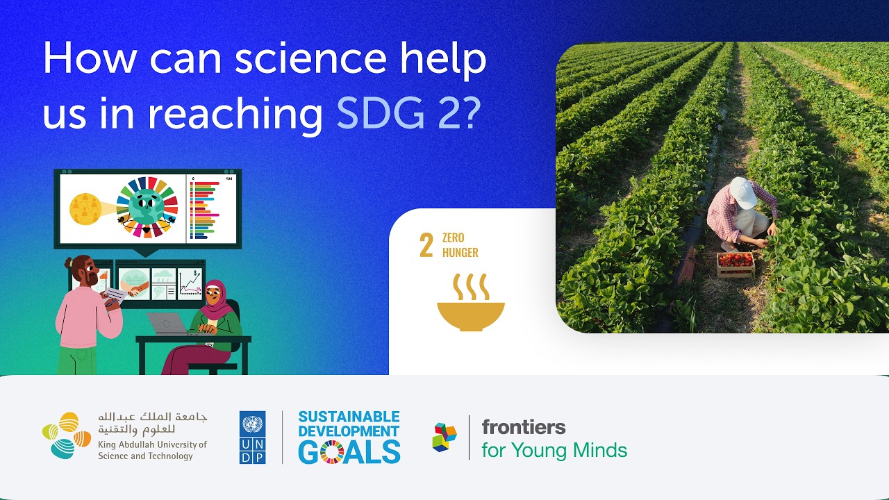 Towards SDG 2 | The SDG Collection | Frontiers for Young Minds