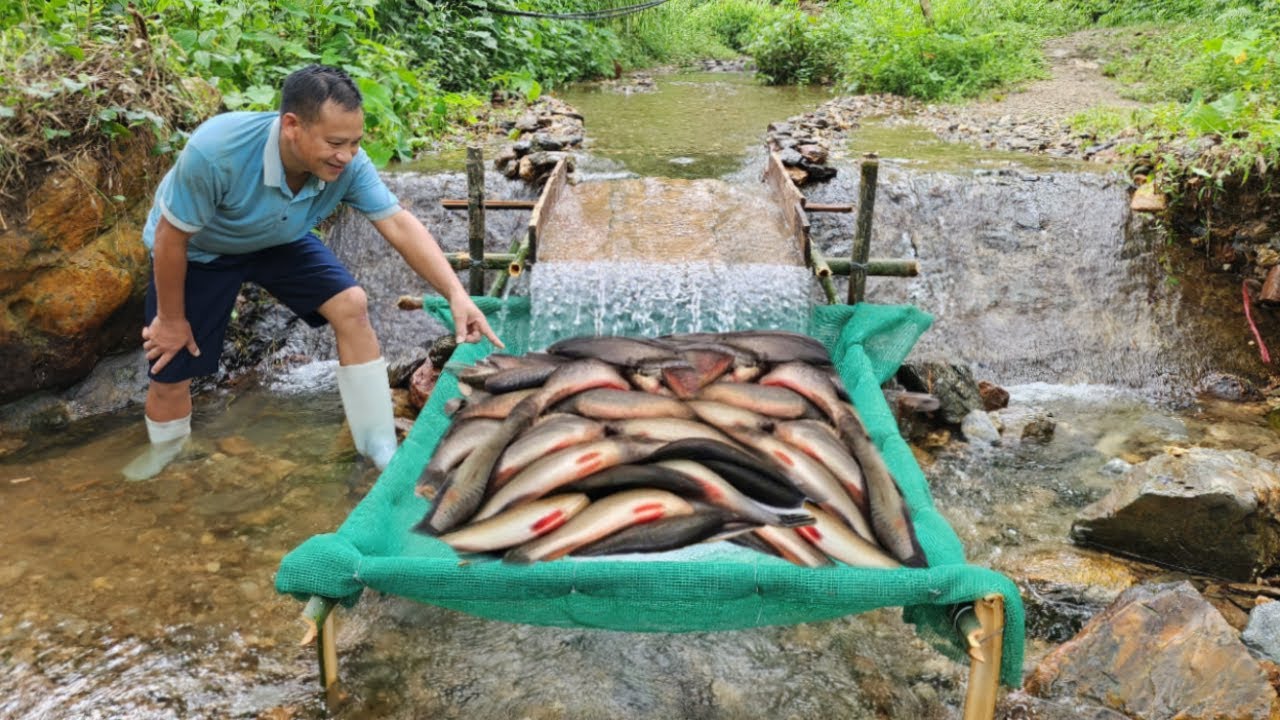 Unique fishing skills, was lucky to catch a big batch of fish and sell them