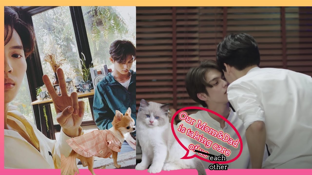 [BrightWin] Sweet Flirting Moments 2gether with their lovely pets -  Perfect Match