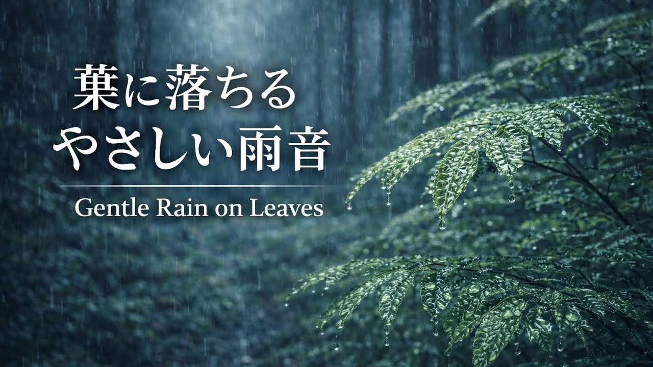 葉に落ちるやさしい雨音｜Gentle Rain on Leaves for Sleep & Focus 
