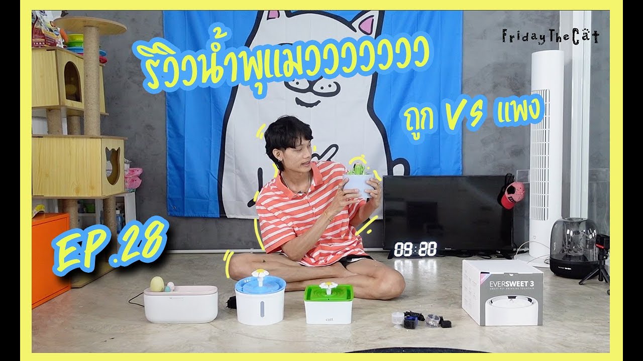 Ep28 รีวิวน้ำพุแมว 5 รุ่น ตั้งแต่รุ่นหลักร้อยไปถึงหลักพัน แบบไหนดีกว่ากัน!