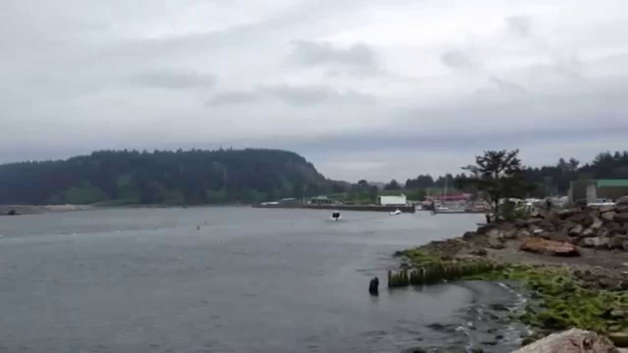 La Push Beach