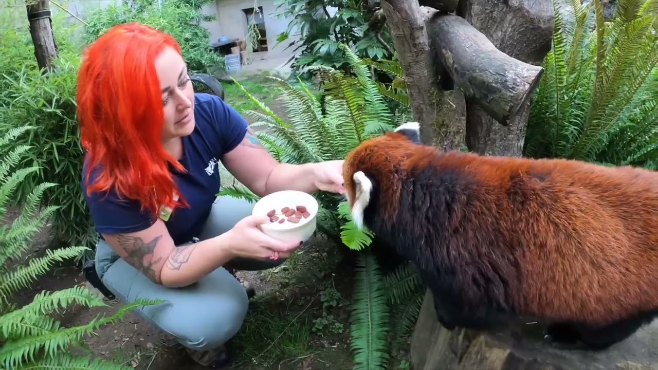 Celebrate Giving Chewsday — help feed our herd!