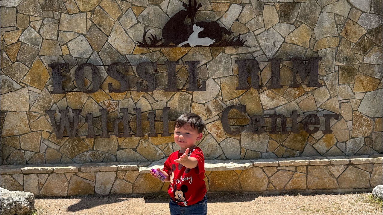 Vamos al Safari de animales🦒Miguelito piensa que ya es grande 