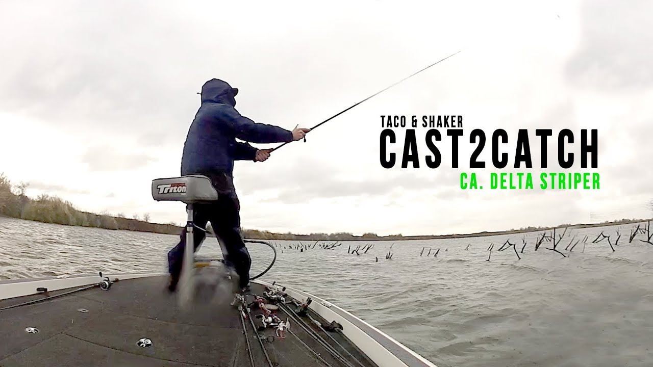 Cast2Catch: CA. Delta - TACO & SHAKER