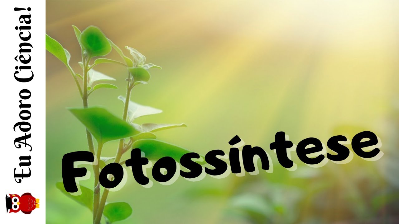 Fotossíntese
