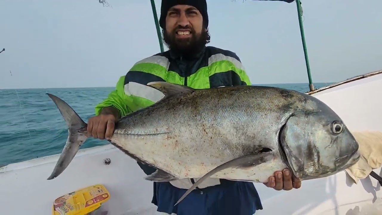শিকারীরা সেন্টমার্টিনে | পর্ব ০২ | বিশাল সব মাছ | Fish hunters at Saint Martins | Mohsin ul Hakim