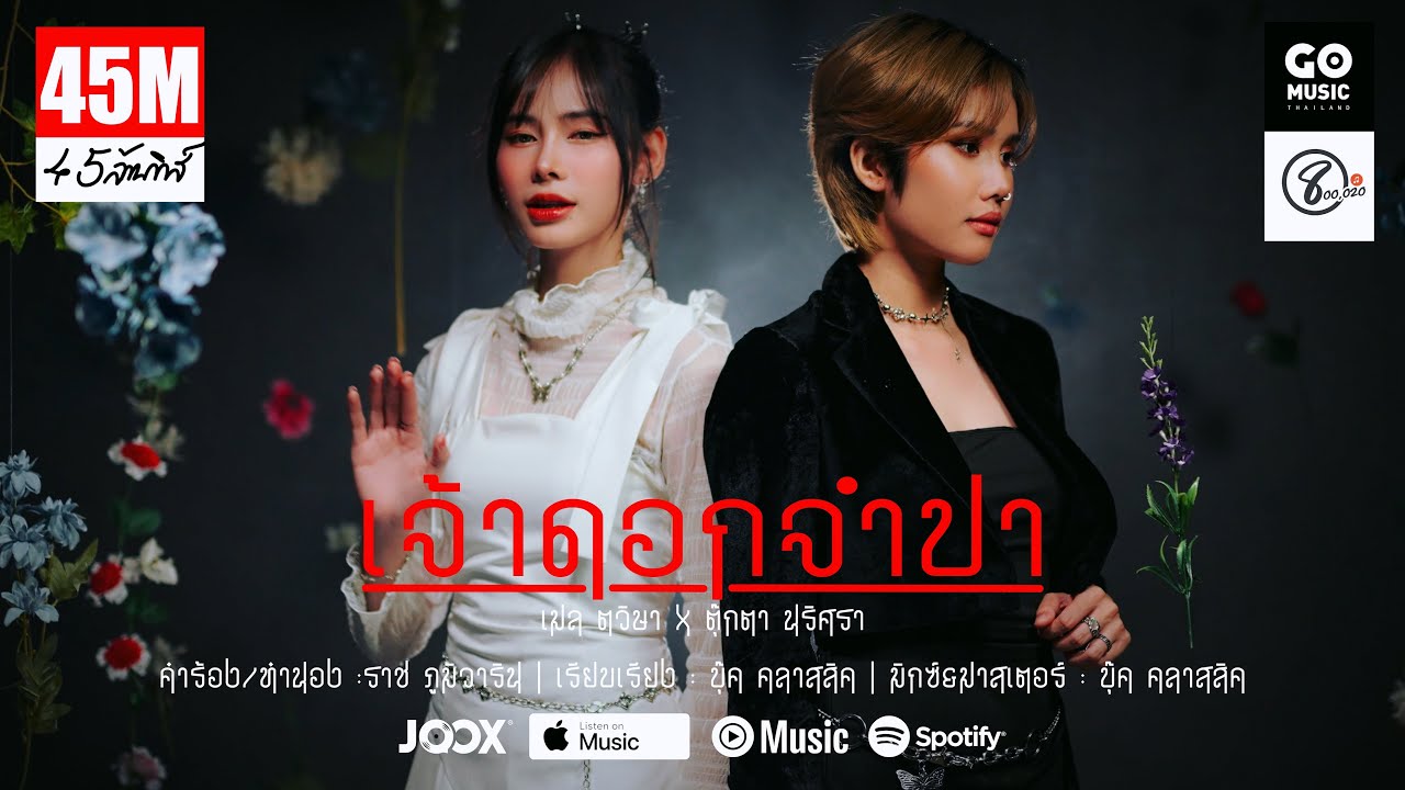 เจ้าดอกจำปา  ( ເຈົ້າດອກຈຳປາ ) - เมล ตวิษา x ตุ๊กตา นริศรา - (แปดแสนซาวด์ x Go Music Thailand x JOOX)