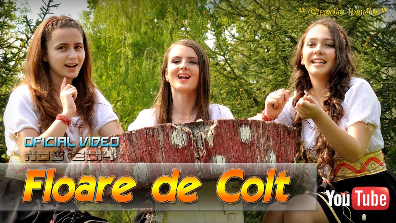 FLOARE de COLT . Crede, bade! (oficial video)