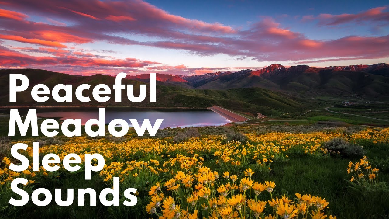 Peaceful Meadow Scenes Slideshow With Bible Verses in HD