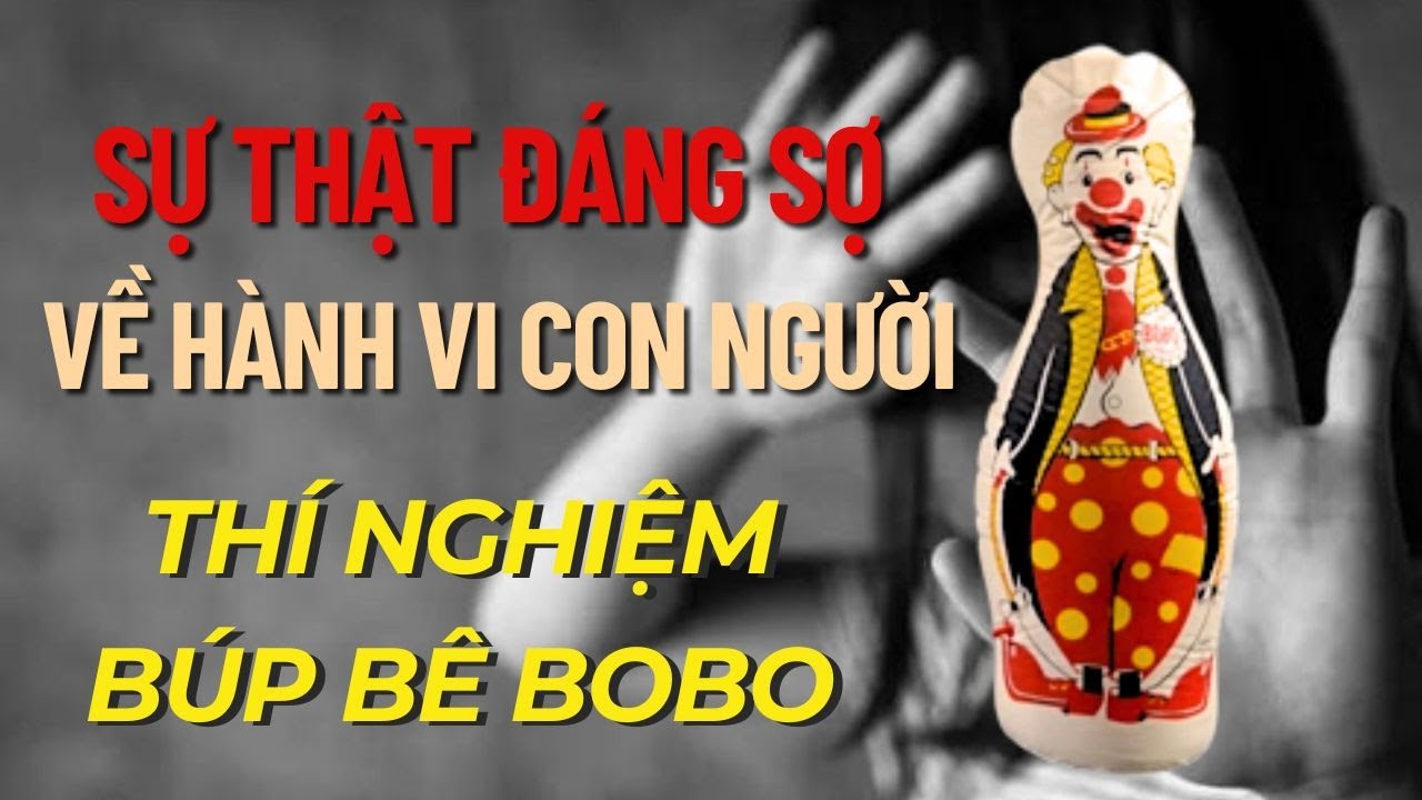 Sự thật đáng sợ về hành vi con người: Thí nghiệm búp bê Bobo #psychology #tamlyhoc #bian #suthat