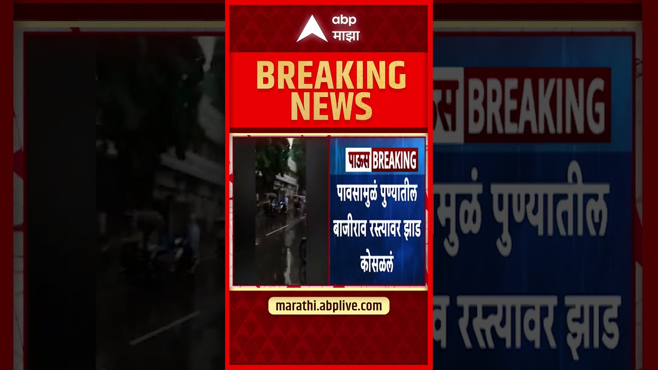 Pune Tree Collapsed : मुसळधार पावसामुळे पुण्यातील बाजीराव रस्त्यावर झाड कोसळलं