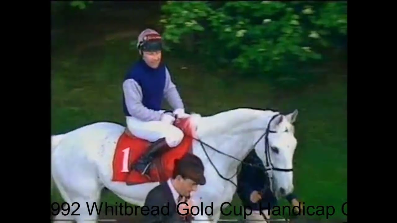 1992 Whitbread Gold Cup Handicap Chase Sandown