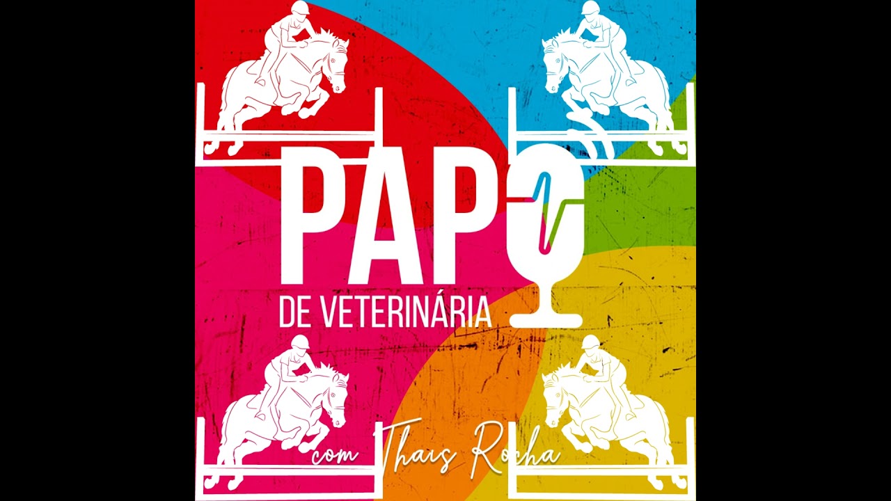 Da Cl&iacute;nica de Equinos de Alta Performance &agrave; Ind&uacute;stria Veterin&aacute;ria, com Karla Dantas