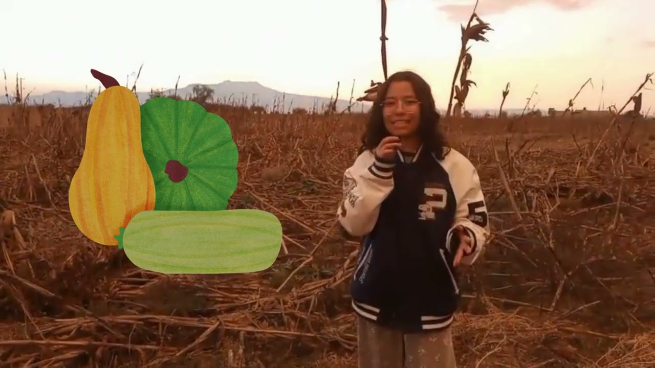 La dienta de la milpa 🌽