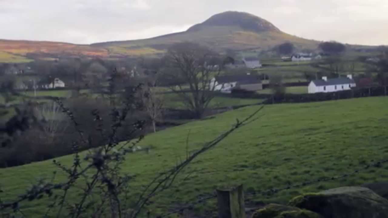 How to Reduce Costs on a Farm