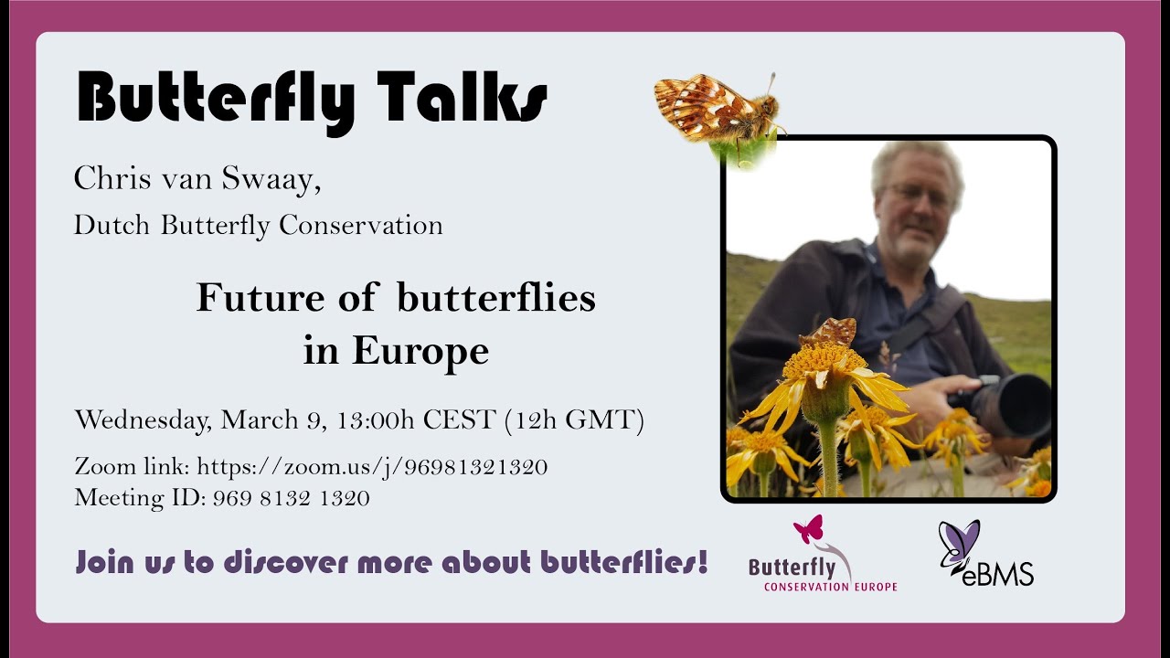 Chris van Swaay - Future of butterflies in Europe. ButterflyTalk