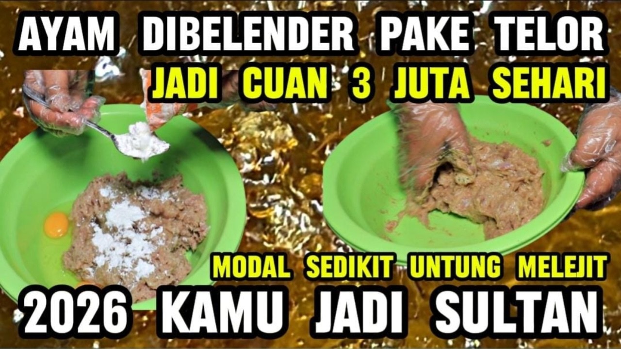 2026 KAMU JADI SULTAN - USAHA AYAM DI BELENDER KASIH TELOR JADI CUAN 3 JUTA SEHARI NGGA PELIT ILMU