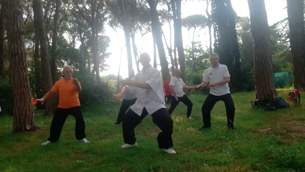 MASSIMILIANO BIONDI - CHENG MAN CHING 37 FORM AND TUI SHOU (2023)