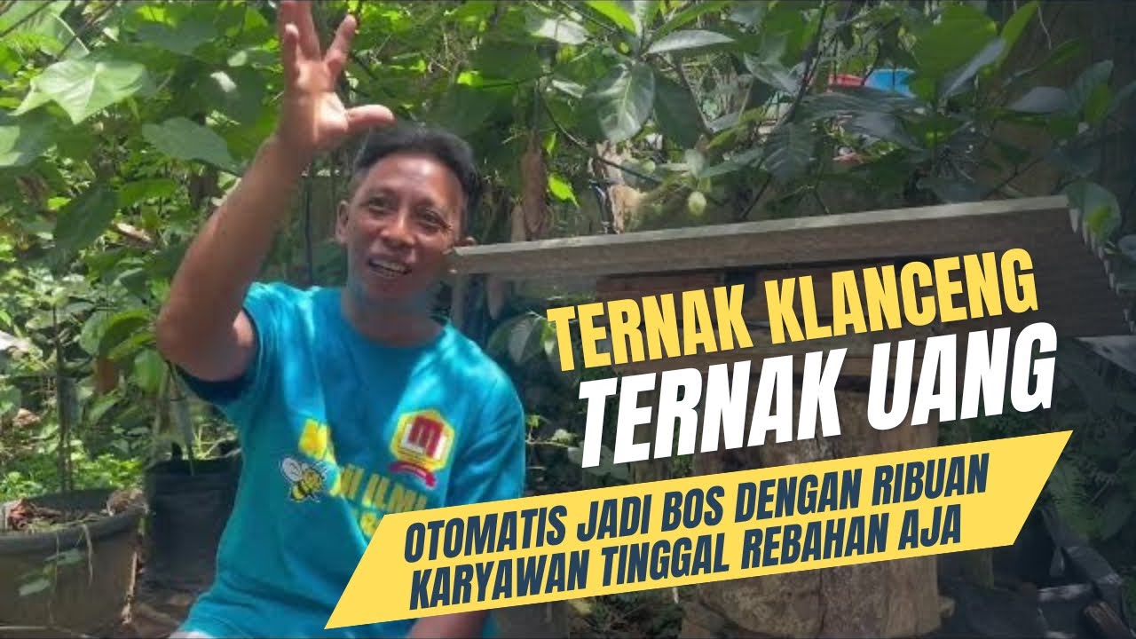 TERNAK KLANCENG ITAMA = TERNAK UANG, JADI BOS PUNYA RIBUAN KARYAWAN TANPA GAJI