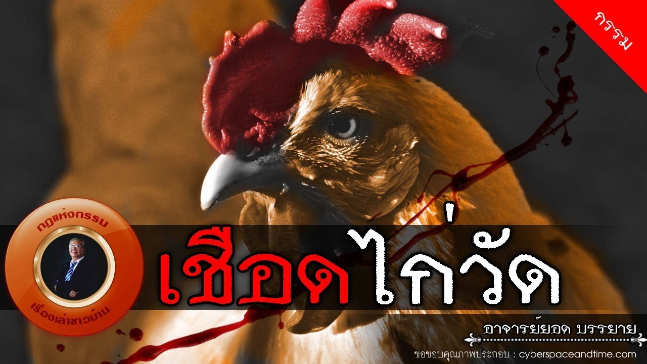 อาจารย์ยอด : เชือดไก่วัด [กรรม] new