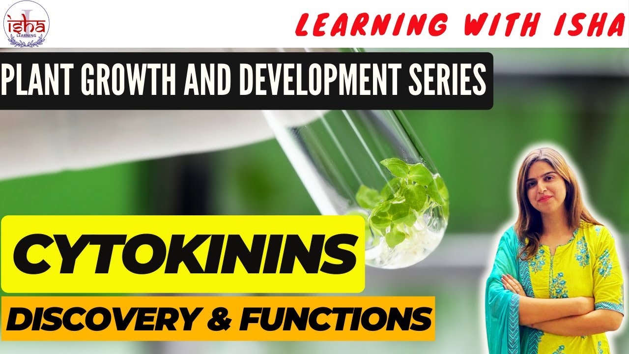 V-8| Cytokinin plant hormone- Discovery & Functions| Plant hormone | Plant growth and Development