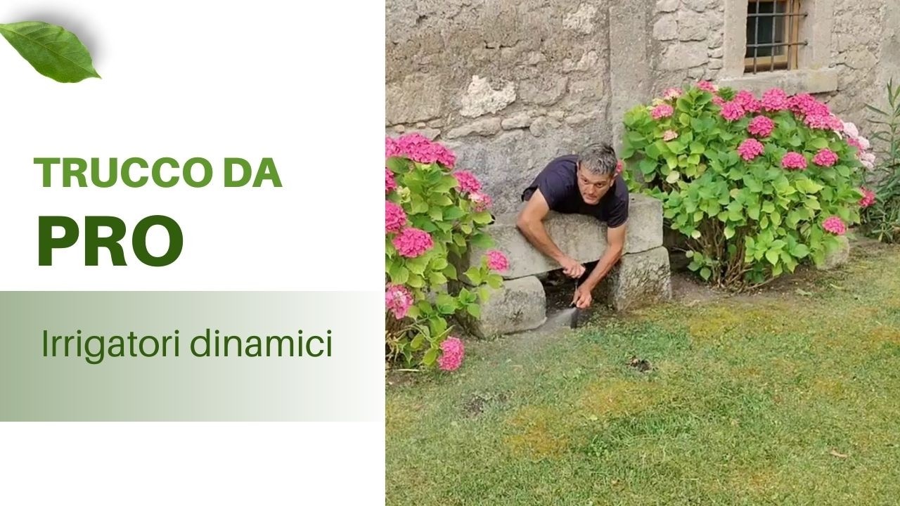 Irrigatori dinamici: ecco come regolarli PERFETTAMENTE (angolazione e gittata spiegate semplice)