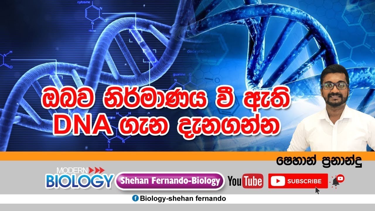 DNA structure- න්‍යශ්ටික අම්ල