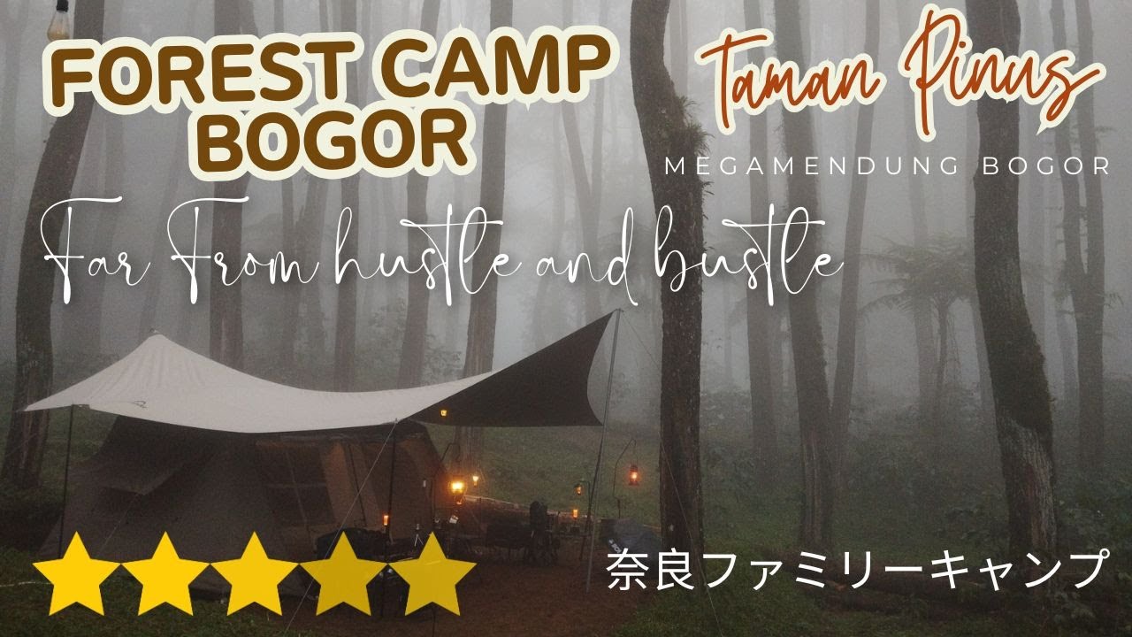 VIRAL..!! Camping Di Hutan TAMAN PINUS Megamendung Puncak Bogor Camping Ground Baru Di Bogor