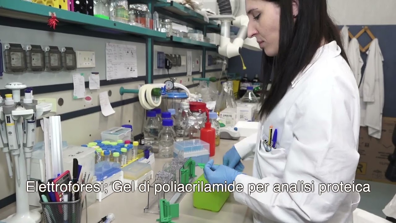 Corso di Laurea in Tecniche di Laboratorio Biomedico Università degli Studi di Salerno