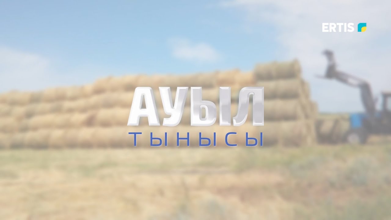 Ауыл тынысы - 29.11.2023