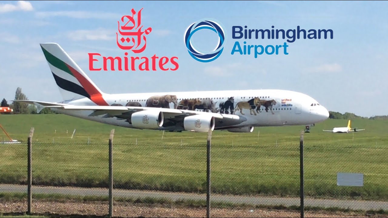 **MEGA RARE!!** Emirates A380-861 (United for wildlife livery) Departing BHX (Birmingham!!) (A6-EEI)
