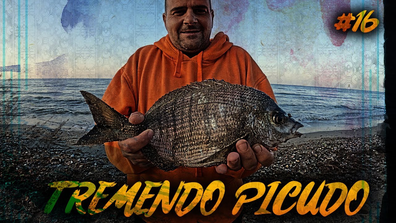 JORNADA SURFCASTING con AMANECER FRENETICO, SARGO SOLDADO, PICUDO XL ...