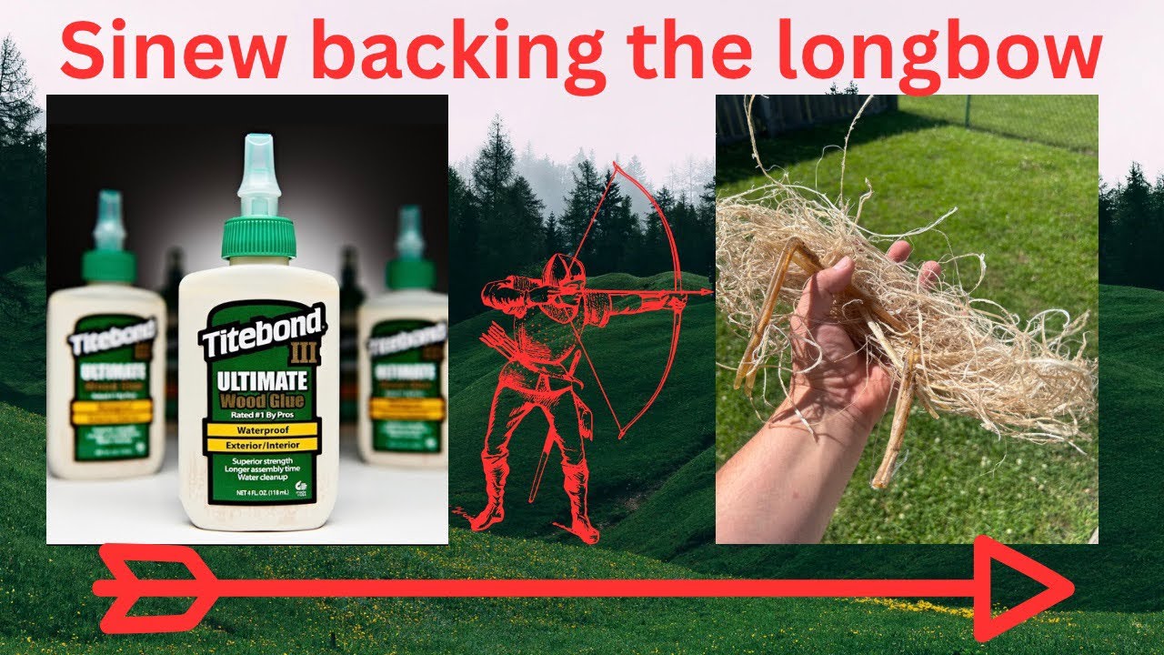 Sinew back Your Bow with Titebond 3: Step-by-Step Guide!