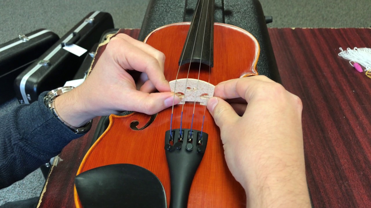 How to Fix Your Violin: Put a Fallen Bridge Back on a Violin
