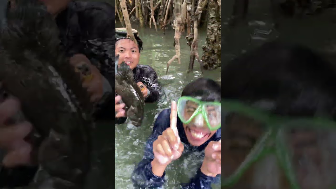 Malalaking lapu lapu napana namin