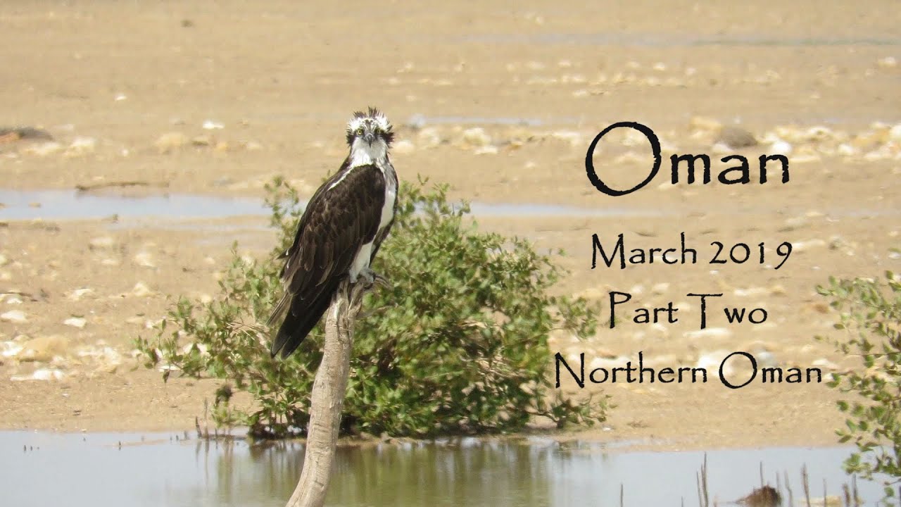 Oman 2019 Part 2
