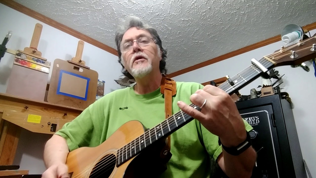 Exploring the Shubb Partial Capo