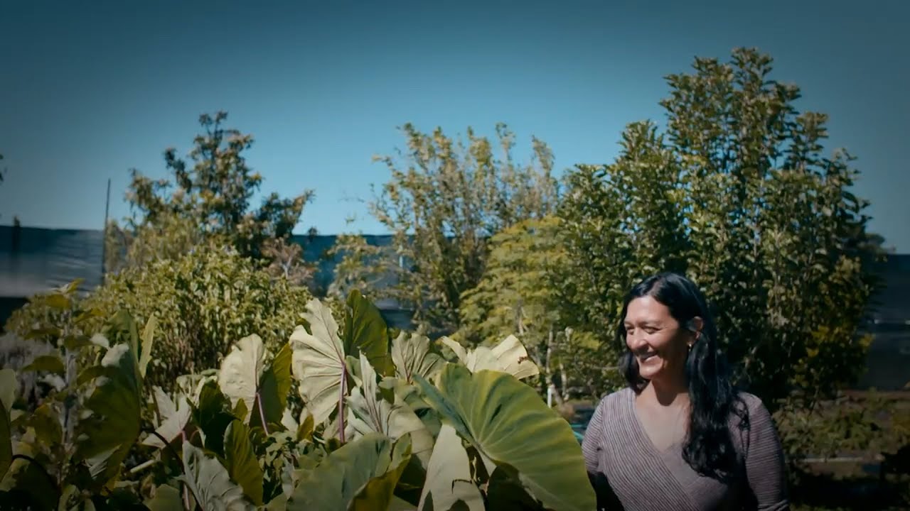 The Island Diaries: Exclusive Footage - The Big Island - Farm to School