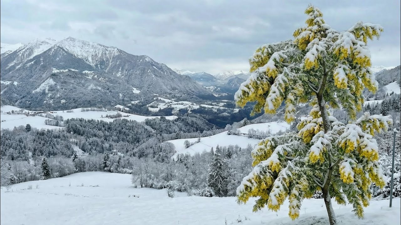 Relaxing acoustic music for study,sleep,and meditation,accompanied by beautiful scenery from Albania