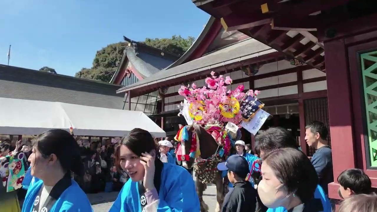 鹿児島神宮初午祭（＋車窓動画）