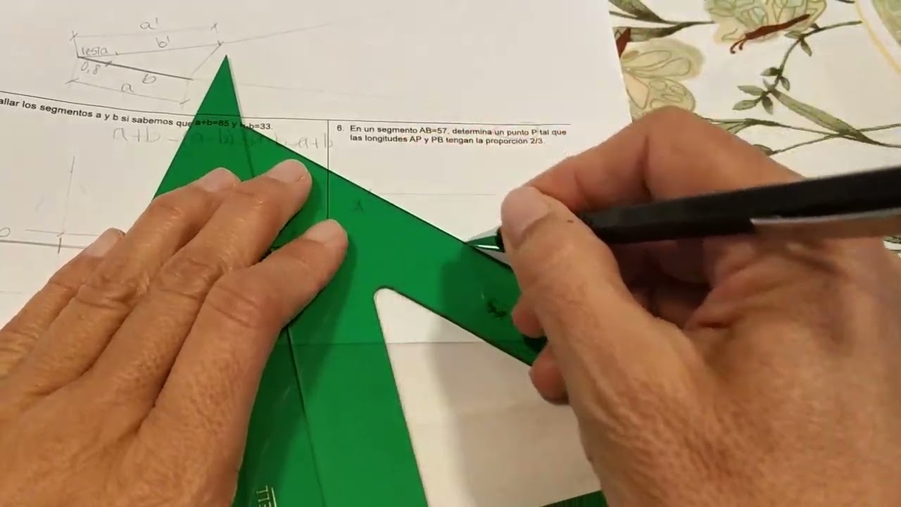 Proporcionalidad Diego de Miguel  Hoja 2 de 4  Ejercicio 6