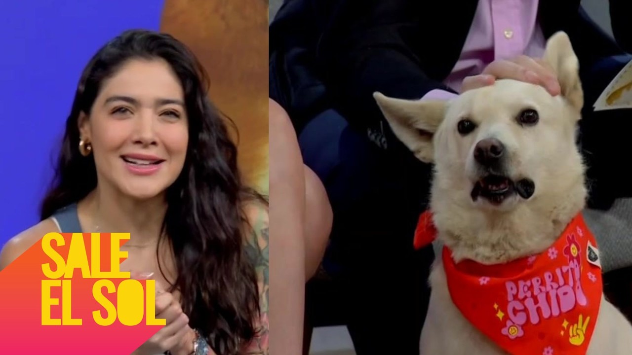 Conoce la conmovedora historia de Donna y Galeana: Unos perritos en busca de amor y una familia