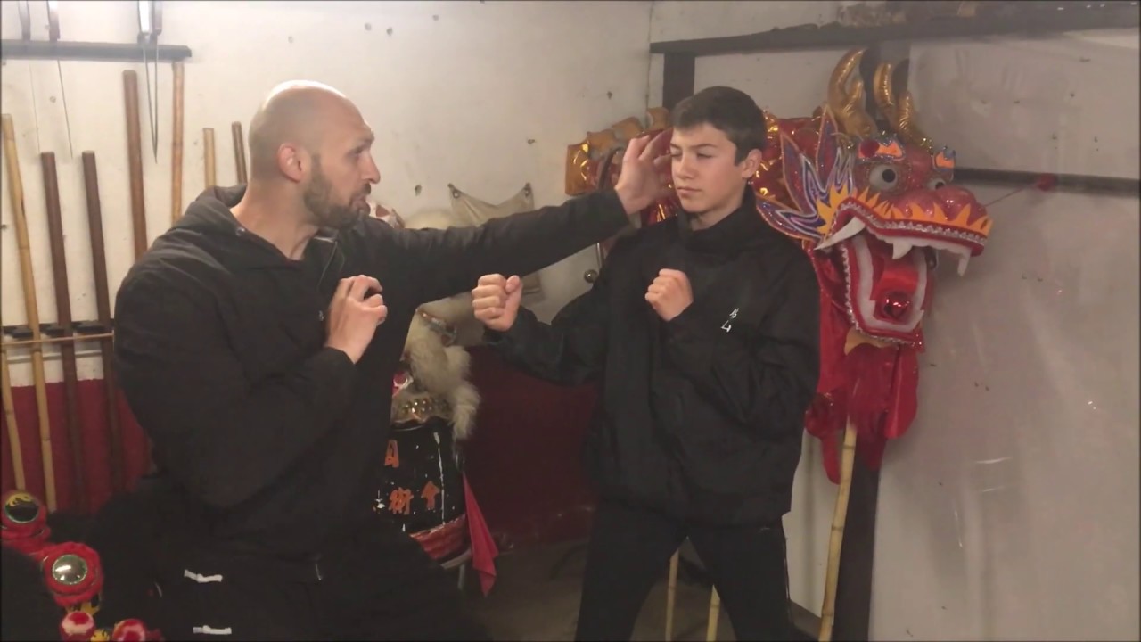 Fatsan Pakmei classical moves explanation 3 佛山白眉拳