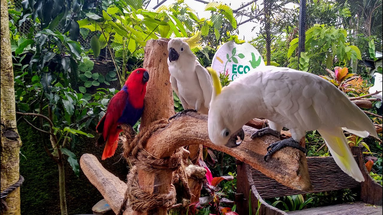 ECO GREEN PARK ( Batu - Malang 2023 ) || Review Lengkap Seluruh Wahana 😍😍