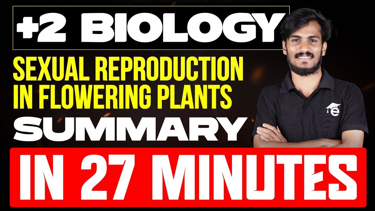 Plus Two Biology | Sexual Reproduction in Flowering Plants Summary | Eduport Plus Two