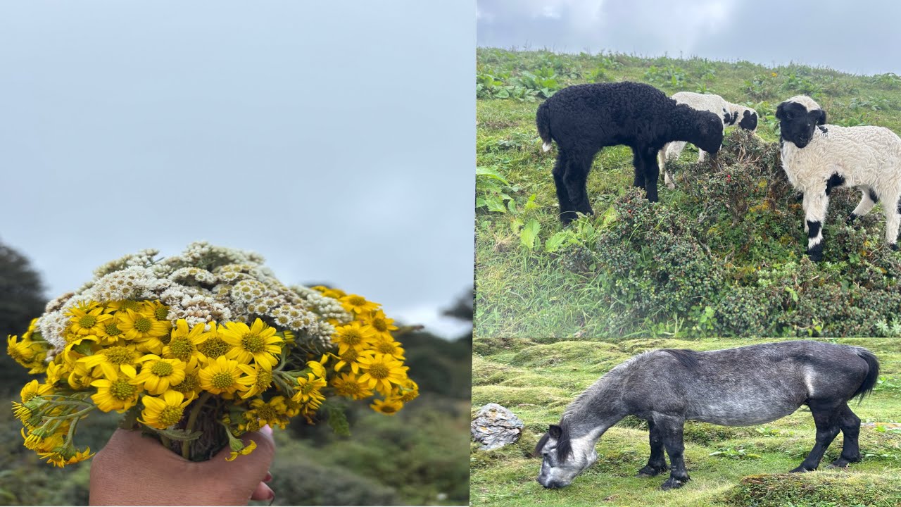 #मुन्धुम ट्रेल को यात्रा हाम्रो# #youtube #travel #nature #khotang 