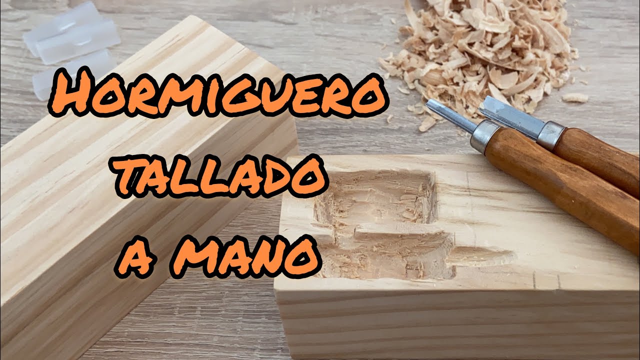 Hormiguero Casero de Madera de Tilo Tallado a Mano sin Herramientas Eléctricas