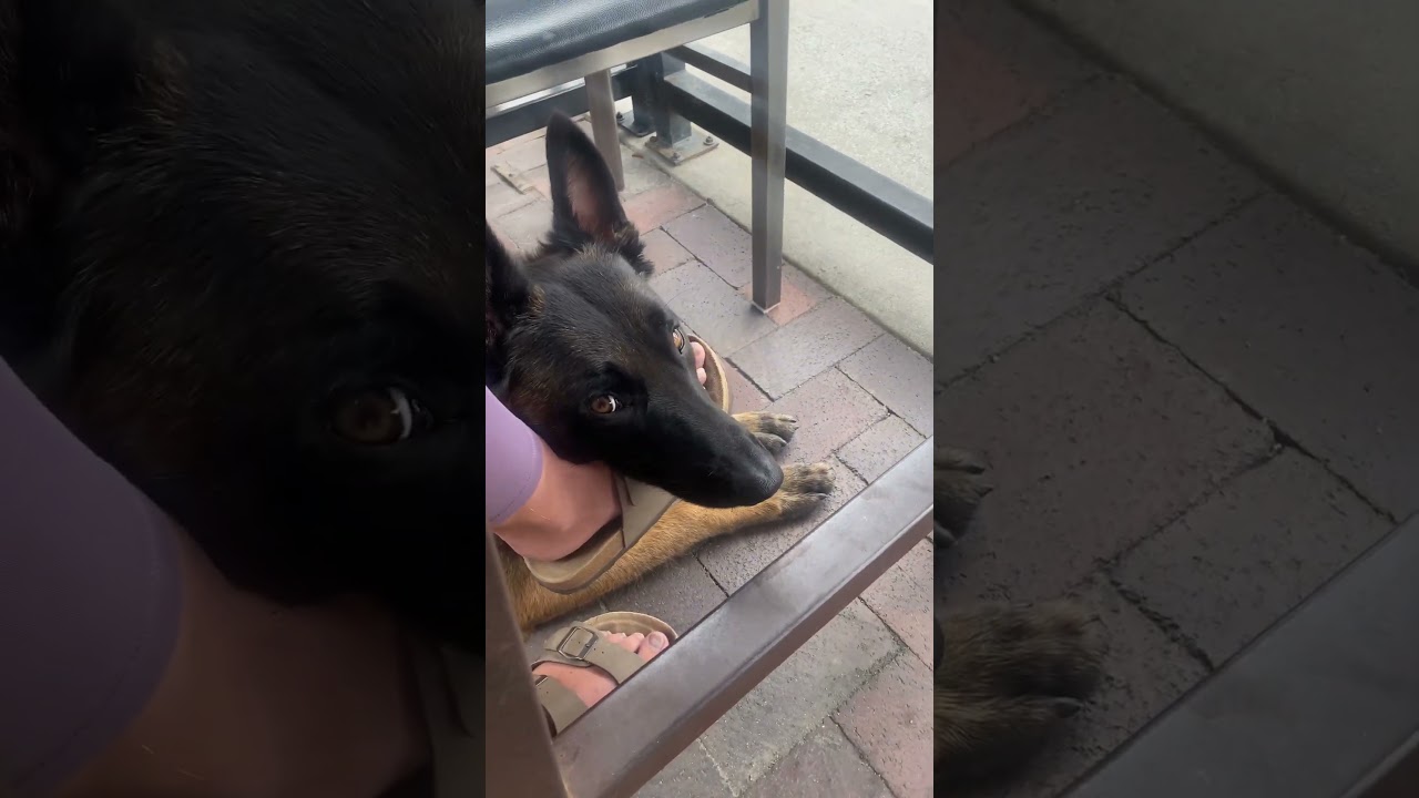 Likes to use feet as pillows!! 